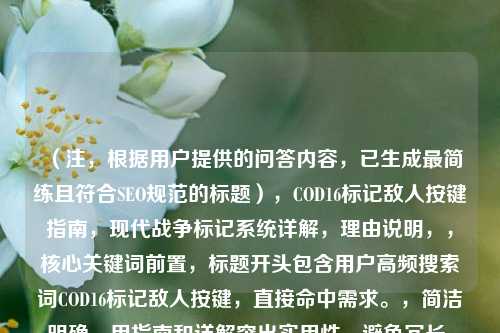 （注，根据用户提供的问答内容，已生成最简练且符合SEO规范的标题），COD16标记敌人按键指南，现代战争标记系统详解，理由说明，，核心关键词前置，标题开头包含用户高频搜索词COD16标记敌人按键，直接命中需求。，简洁明确，用指南和详解突出实用性，避免冗长，符合用户快速获取答案的心理。，SEO优化，包含完整游戏名称现代战争及功能名称标记系统，覆盖更多搜索变体。，（如需调整侧重点，例如强调多人模式或主机/PC差异，可进一步优化，如PS4/PC版COD16标记敌人按键教学）