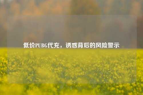 低价PUBG代充，诱惑背后的风险警示