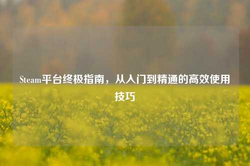 Steam平台终极指南，从入门到精通的高效使用技巧