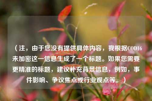 （注，由于您没有提供具体内容，我根据COD16未加密这一信息生成了一个标题。如果您需要更精准的标题，建议补充背景信息，例如，事件影响、争议焦点或行业观点等。）