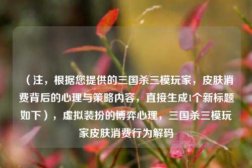 （注，根据您提供的三国杀三模玩家，皮肤消费背后的心理与策略内容，直接生成1个新标题如下），虚拟装扮的博弈心理，三国杀三模玩家皮肤消费行为解码