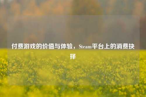 付费游戏的价值与体验，Steam平台上的消费抉择
