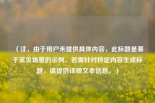 （注，由于用户未提供具体内容，此标题是基于常见场景的示例。若需针对特定内容生成标题，请提供详细文本信息。）