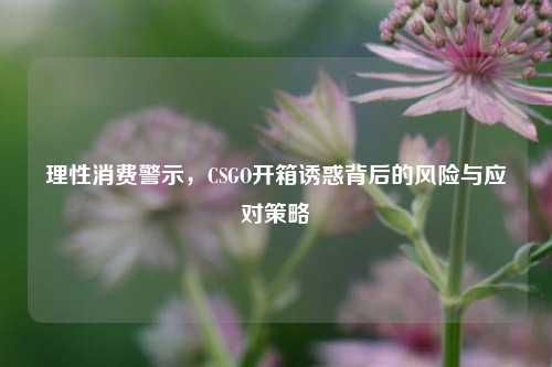 理性消费警示，CSGO开箱诱惑背后的风险与应对策略