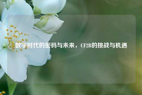 数字时代的密码与未来，CF2B的挑战与机遇