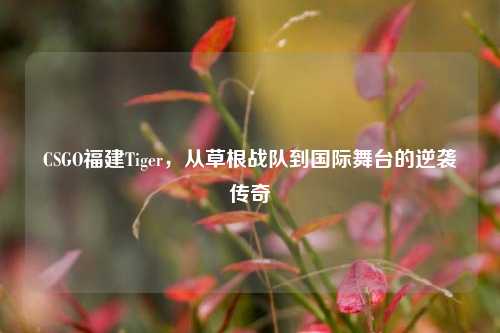 CSGO福建Tiger，从草根战队到国际舞台的逆袭传奇