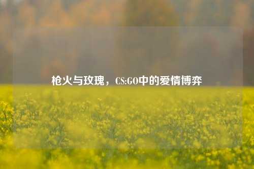 枪火与玫瑰，CS:GO中的爱情博弈