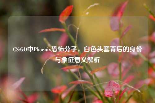 CS:GO中Phoenix恐怖分子，白色头套背后的身份与象征意义解析
