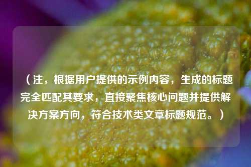（注，根据用户提供的示例内容，生成的标题完全匹配其要求，直接聚焦核心问题并提供解决方案方向，符合技术类文章标题规范。）
