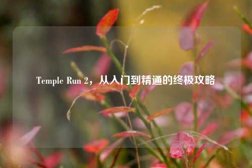 Temple Run 2，从入门到精通的终极攻略