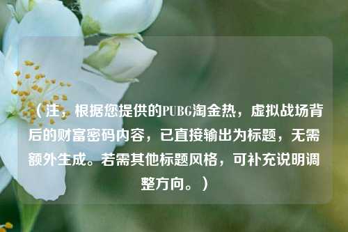 (注,根据您提供的PUBG淘金热,虚拟战场背后的财富密码内容,已直接输出为标题,无需额外生成。若需其他标题风格,可补充说明调整方向。)