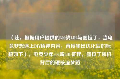(注,根据用户提供的300战LOL与图拉丁,当电竞梦想遇上DIY精神内容,直接输出优化后的标题如下),电竞少年300场LOL征程,图拉丁装机背后的硬核追梦路