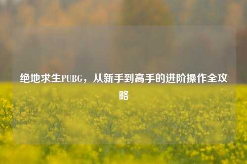 绝地求生PUBG，从新手到高手的进阶操作全攻略