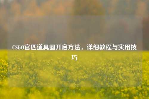 CSGO官匹道具图开启方法，详细教程与实用技巧