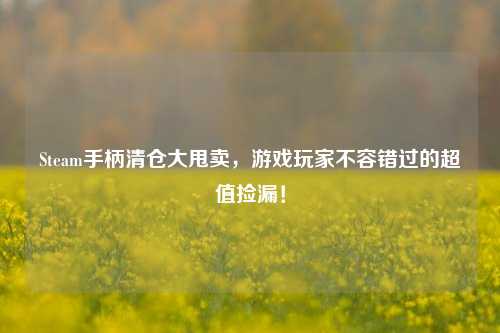 Steam手柄清仓大甩卖，游戏玩家不容错过的超值捡漏！