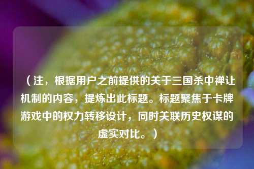 （注，根据用户之前提供的关于三国杀中禅让机制的内容，提炼出此标题。标题聚焦于卡牌游戏中的权力转移设计，同时关联历史权谋的虚实对比。）