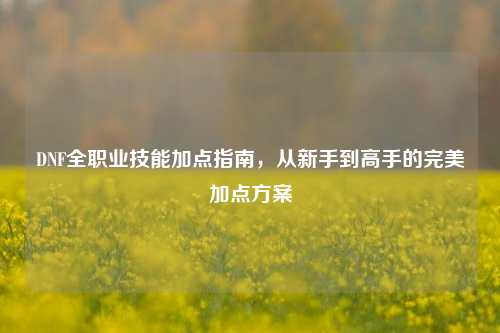DNF全职业技能加点指南，从新手到高手的完美加点方案