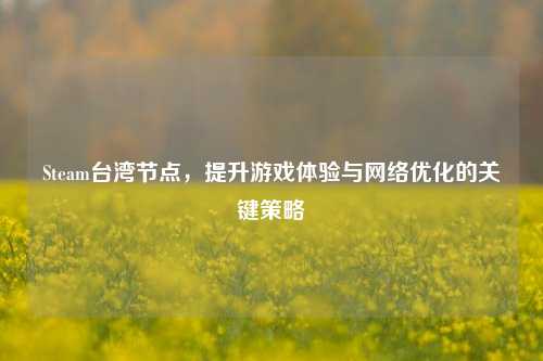 Steam台湾节点，提升游戏体验与网络优化的关键策略