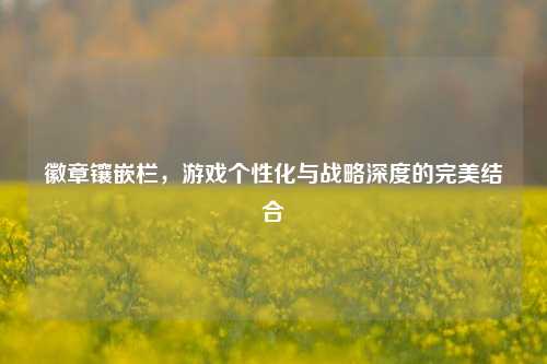 徽章镶嵌栏，游戏个性化与战略深度的完美结合