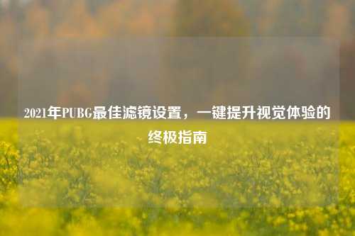 2021年PUBG最佳滤镜设置，一键提升视觉体验的终极指南