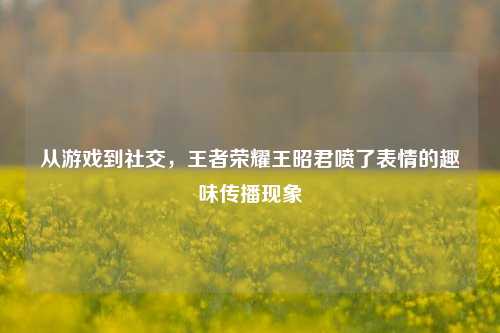 从游戏到社交,王者荣耀王昭君喷了表情的趣味传播现象
