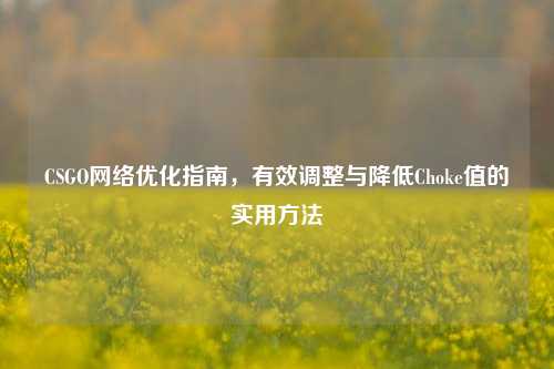 CSGO网络优化指南，有效调整与降低Choke值的实用方法