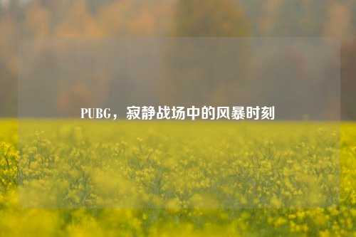 PUBG，寂静战场中的风暴时刻