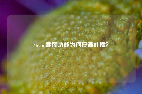 Steam截图功能为何屡遭吐槽?