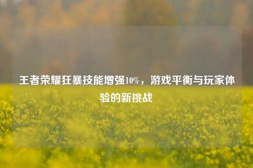 王者荣耀狂暴技能增强10%,游戏平衡与玩家体验的新挑战