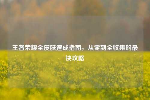 王者荣耀全皮肤速成指南，从零到全收集的最快攻略