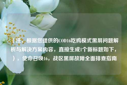 （注，根据您提供的COD16吃鸡模式黑屏问题解析与解决方案内容，直接生成1个新标题如下，），使命召唤16，战区黑屏故障全面排查指南