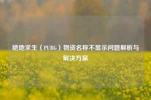 绝地求生(PUBG)物资名称不显示问题解析与解决方案