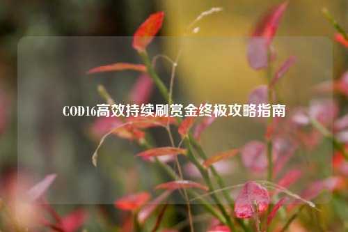COD16高效持续刷赏金终极攻略指南