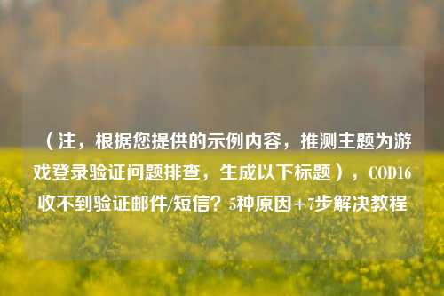 （注，根据您提供的示例内容，推测主题为游戏登录验证问题排查，生成以下标题），COD16收不到验证邮件/短信？5种原因+7步解决教程
