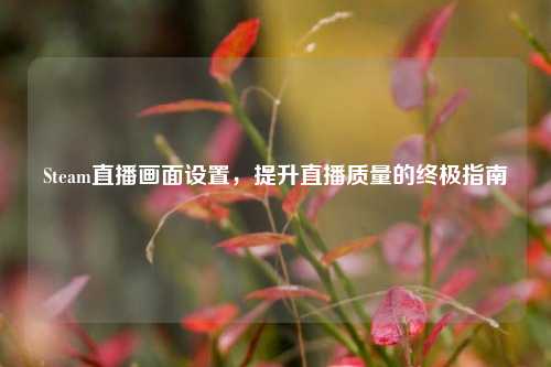 Steam直播画面设置，提升直播质量的终极指南