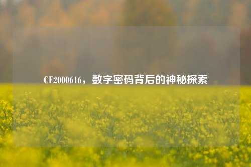 CF2000616，数字密码背后的神秘探索
