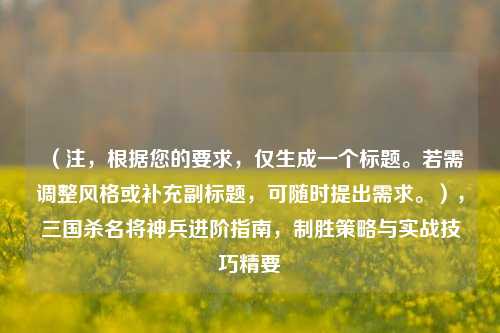 （注，根据您的要求，仅生成一个标题。若需调整风格或补充副标题，可随时提出需求。），三国杀名将神兵进阶指南，制胜策略与实战技巧精要