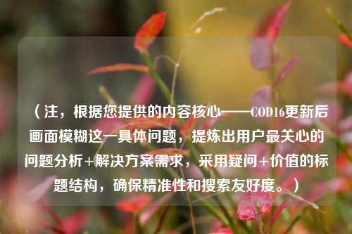 （注，根据您提供的内容核心——COD16更新后画面模糊这一具体问题，提炼出用户最关心的问题分析+解决方案需求，采用疑问+价值的标题结构，确保精准性和搜索友好度。）