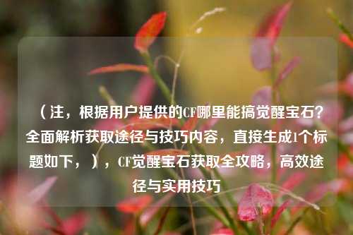 （注，根据用户提供的CF哪里能搞觉醒宝石？全面解析获取途径与技巧内容，直接生成1个标题如下，），CF觉醒宝石获取全攻略，高效途径与实用技巧