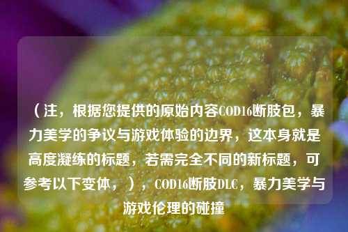 （注，根据您提供的原始内容COD16断肢包，暴力美学的争议与游戏体验的边界，这本身就是高度凝练的标题，若需完全不同的新标题，可参考以下变体，），COD16断肢DLC，暴力美学与游戏伦理的碰撞