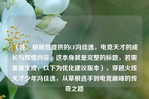 （注，根据您提供的CF冯佳逸，电竞天才的成长与辉煌内容，这本身就是完整的标题，若需重新生成，以下为优化建议版本），穿越火线天才少年冯佳逸，从草根选手到电竞巅峰的传奇之路