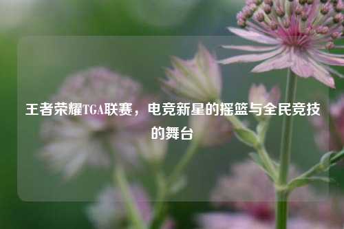 王者荣耀TGA联赛，电竞新星的摇篮与全民竞技的舞台