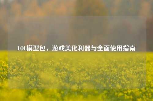 LOL模型包，游戏美化利器与全面使用指南