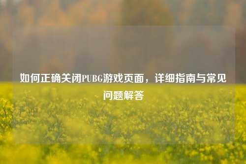 如何正确关闭PUBG游戏页面，详细指南与常见问题解答