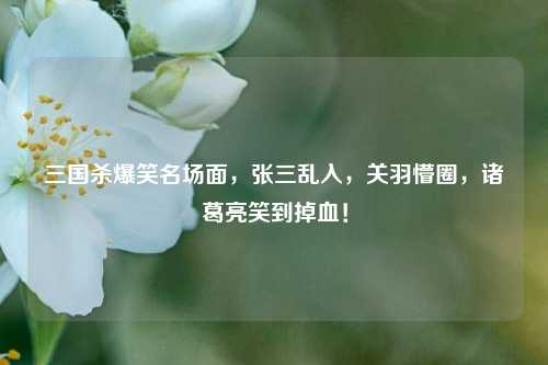 三国杀爆笑名场面，张三乱入，关羽懵圈，诸葛亮笑到掉血！