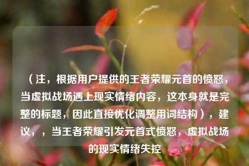 （注，根据用户提供的王者荣耀元首的愤怒，当虚拟战场遇上现实情绪内容，这本身就是完整的标题，因此直接优化调整用词结构），建议，，当王者荣耀引发元首式愤怒，虚拟战场的现实情绪失控