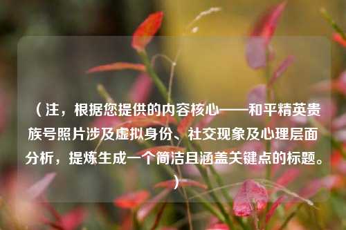 (注,根据您提供的内容核心——和平精英贵族号照片涉及虚拟身份、社交现象及心理层面分析,提炼生成一个简洁且涵盖关键点的标题。)