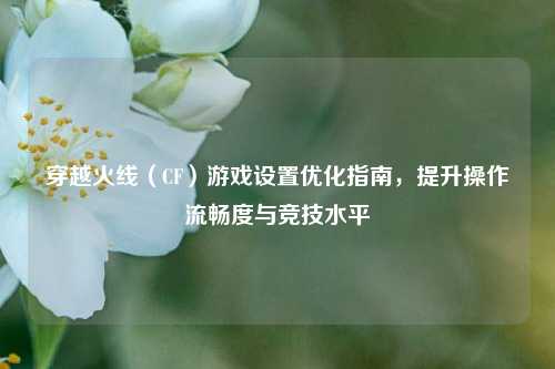 穿越火线(CF)游戏设置优化指南,提升操作流畅度与竞技水平