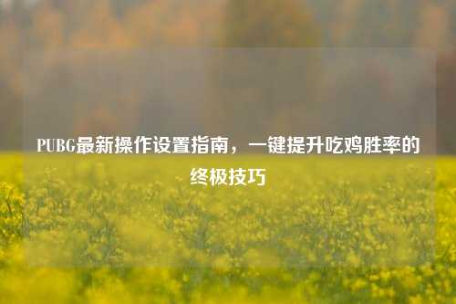 PUBG最新操作设置指南,一键提升吃鸡胜率的终极技巧