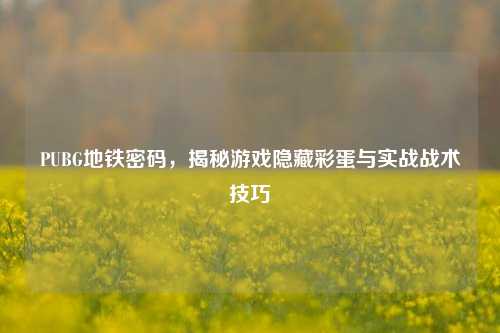 PUBG地铁密码，揭秘游戏隐藏彩蛋与实战战术技巧